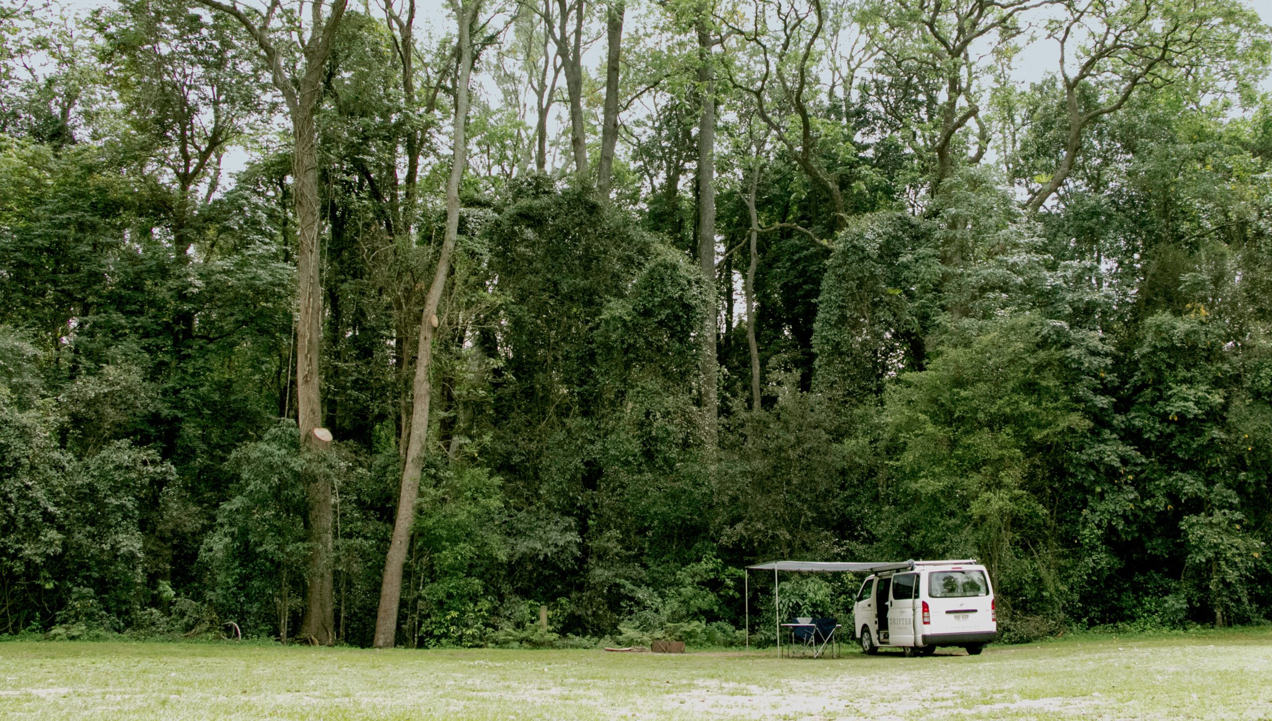 Under the trees in Amamoor State Forest
